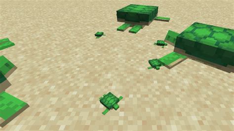 How to Hatch Turtle Eggs in Minecraft (Easy Guide)