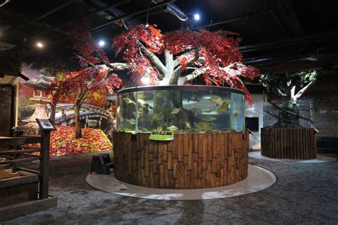 Greater Cleveland Aquarium to undergo sweeping renovations, welcome new ...