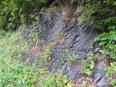 Taconic deepwater Cambrian(?) rocks, Argyle, NY | From the w… | Flickr