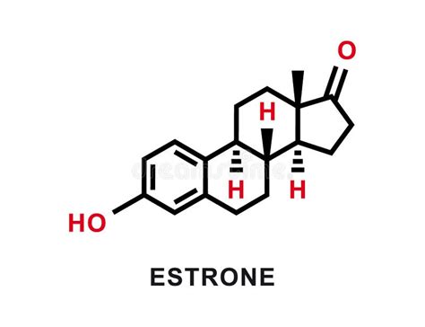 Estrone Chemical Formula. Estrone Chemical Molecular Structure. Vector ...