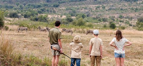 Bakubung Bush Lodge - Siyeza Safaris