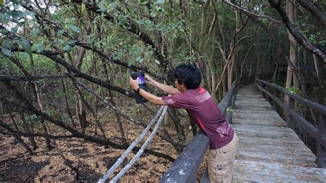 Biodiversity Assessment and Monitoring of the Las Piñas – Parañaque ...