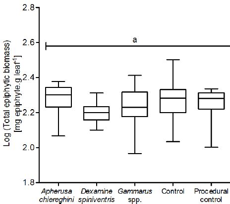 Biomass of (a) encrusting algae, (b) encrusting animals, (c) erect ...