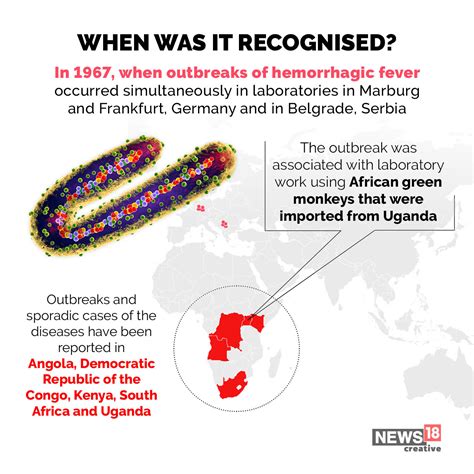 Ghana reports Marburg virus outbreak — What causes the disease ...