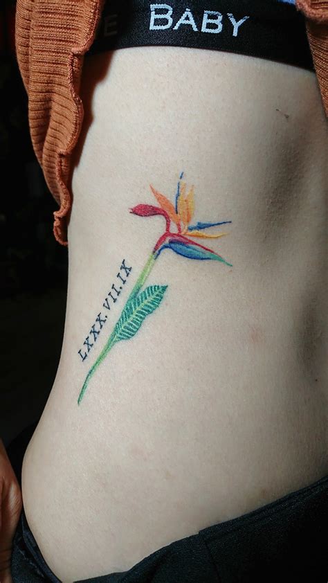 BIRD OF PARADISE FLOWER TATTOO BY ROXIEHART666 | Tattoos, Birds of paradise flower, Flower tattoo