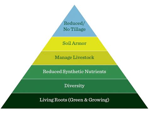 Regenerative Agriculture Soil Principles