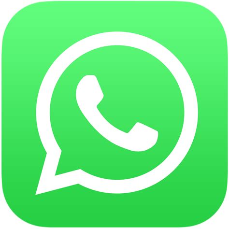 File:WhatsApp logo-color-vertical.svg - Wikimedia Commons