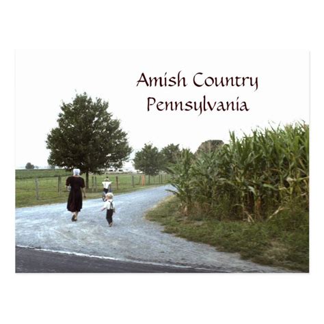 Amish Country Pennsylvania PA Postcard | Zazzle