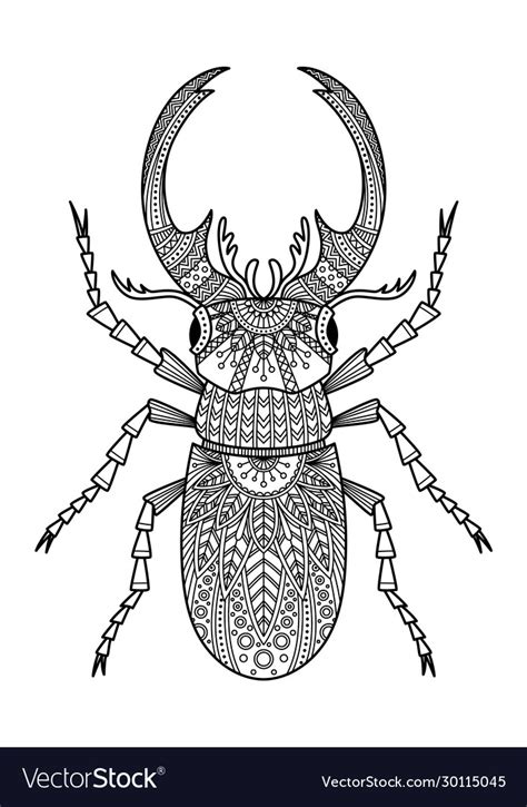 Female Golden Stag Beetle Coloring Page For Kids Free - vrogue.co