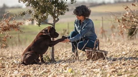 Go truffle hunting with dogs in France’s Lot Valley - Complete France