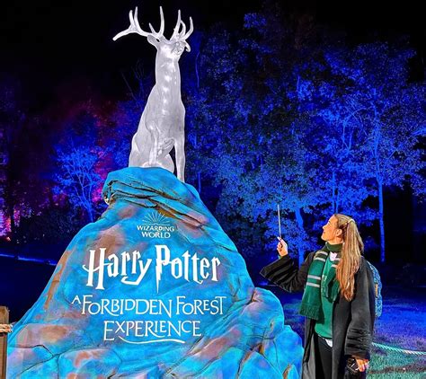 REVIEW: HARRY POTTER FORBIDDEN FOREST EXPERIENCE, Leesburg, Virginia ...