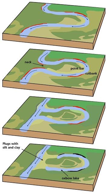 Kabartal Wetland: The oxbow lake of India – Lakes of India