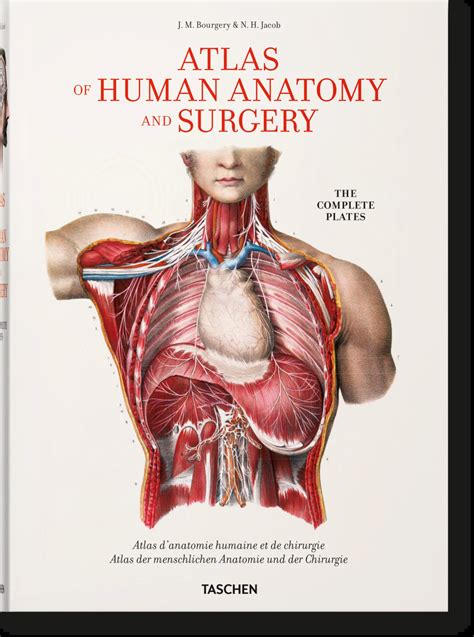 Bourgery. Atlas of Human Anatomy and Surgery. TASCHEN Books