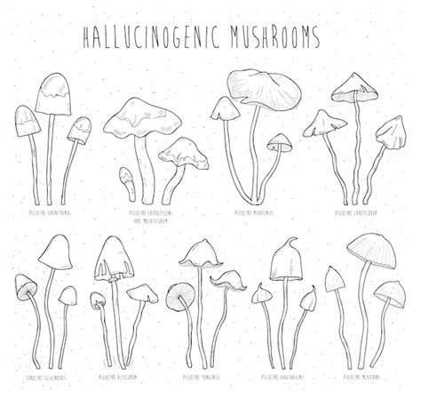 Premium Vector | Set hallucinogenic mushrooms.