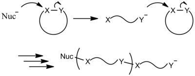 Ring opening polymerization - Alchetron, the free social encyclopedia