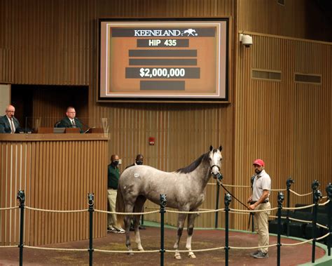 Challenging Keeneland September Sale draws to a close - The Owner Breeder