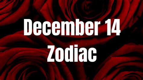 December 14 Zodiac Sign: Astrology birth chart, Love, Traits, and Tarot ...