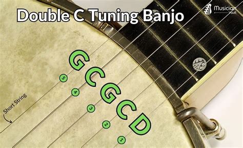 5 String Banjo Tuning: Standard and Alternate Tunings - Musician Vault