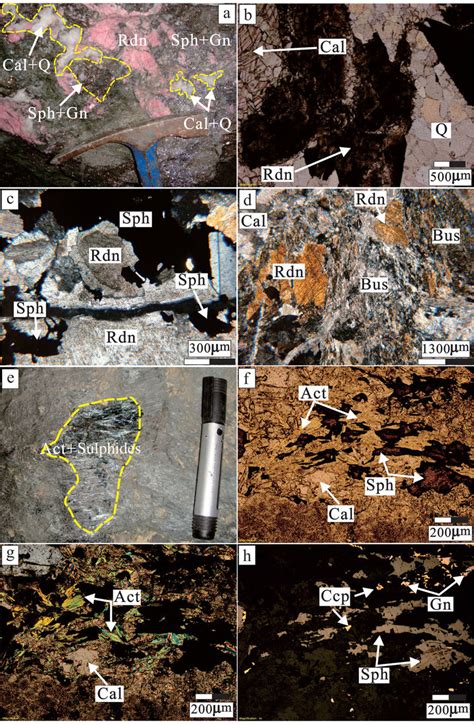 (Colour online) Macroscopic and microscopic features of skarn... | Download Scientific Diagram