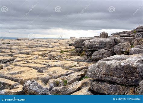 Limestone pavement stock image. Image of environment - 24409147