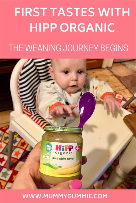 First tastes with HiPP Organic- The weaning begins | Baby food recipes, Hipp organic, Baby weaning