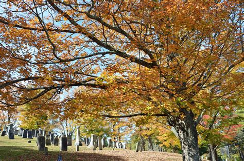 Massachusetts Fall Foliage Driving Tours