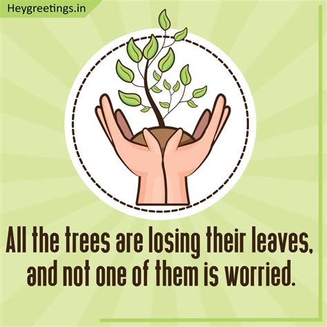 Save trees Slogans - Hey Greetings