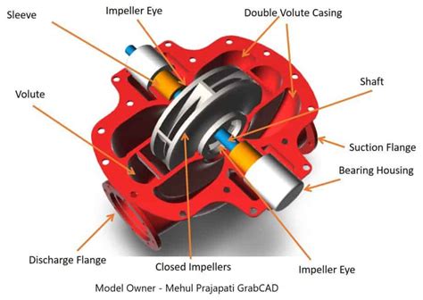 Centrifugal Pump Diagram