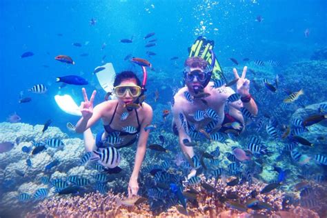 Lovina and Menjangan Snorkeling Bali Tour - Wandernesia