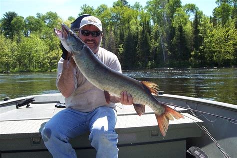 Ten Days, Ten-Thousand Casts Fishing For French River Musky | Fishing French River, Bear's Den Lodge