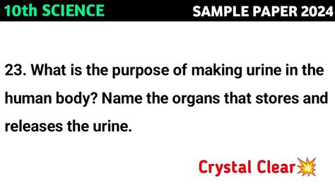 What is the purpose of making urine in the human body? Name the organs that stores and releases ...
