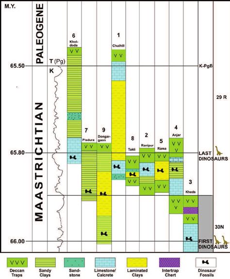 Sections showing different late Cretaceous (Maastrichtian) dinosaurs... | Download Scientific ...