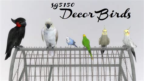 sg5150: sg5150 Decor Birds Edits by sg5150 ... - Dopecherryblossomheart