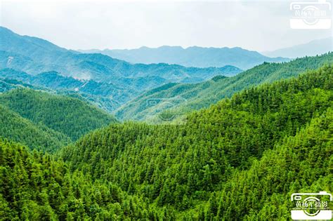 江山如此多娇青山如此秀美|江山如此多娇|青山|绿树_新浪新闻