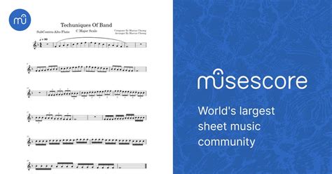 Techuniques Of Band SubContraBass Flute Sheet music for Flute (Solo) | Musescore.com