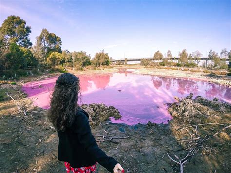 Pink lake in Australia - Chapter Travel