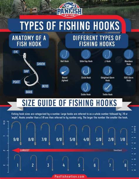 Fishing Hook Sizes & Types Explained (With Chart!) • Panfish Nation