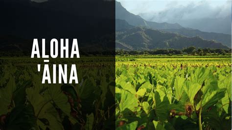 Aloha 'Āina: Embracing the Hawaiian Spirit of Stewardship