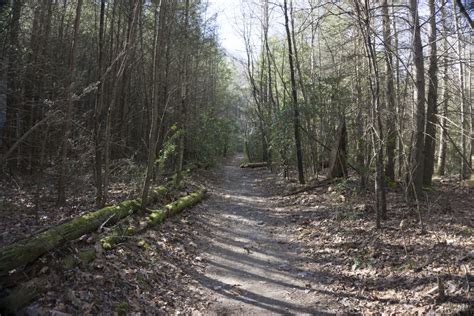 Trail Summary and Review: Catawba Falls Trail - SkyAboveUs