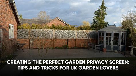 Creating the Perfect Garden Privacy Screen: Tips and Tricks for UK ...