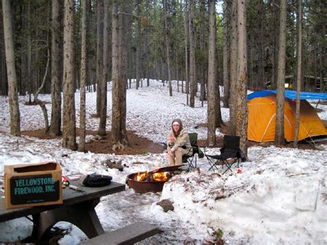 Canyon Village Campground (Parque Nacional de Yellowstone, Wyoming): opiniones y fotos del ...