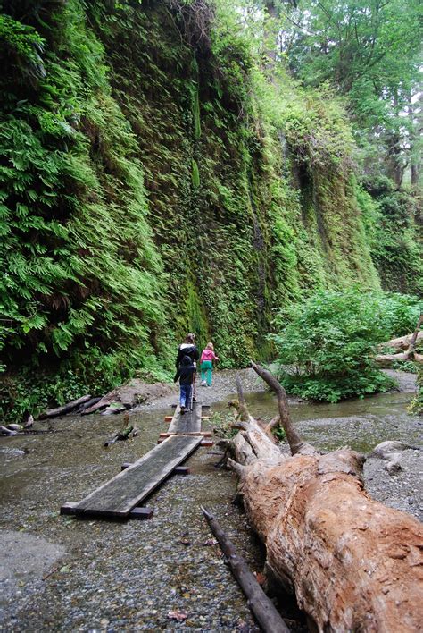 The Putneys S'more America: Fern Canyon, Prairie Creek Redwoods State Park, CA