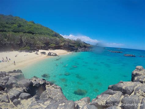 Waimea Bay Rock Jump – How To Plan A Day Trip To This Famous Beach | Waimea beach, Waimea bay ...