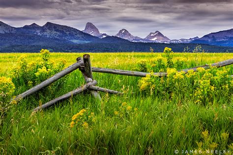 Dividing Line | The Grand, Middle, and South Teton Peaks ris… | Flickr