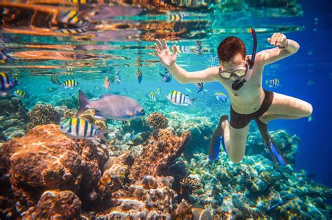 All-inclusive tour to Cozumel - Aquaworld