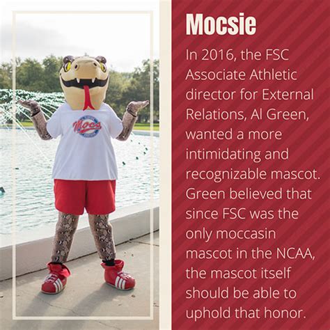 History of FSC Mascots - Florida Southern College in Lakeland, FL