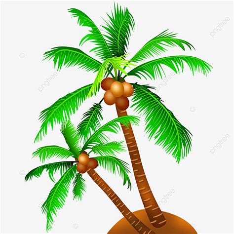 Coconut Palm Tree Clipart Transparent PNG Hd, Coconut Tree Illustration, Coconut Tree Clipart ...