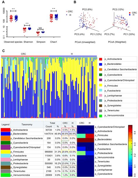 Gut microbiome diversity and structure analysis. (A) Species diversity ...