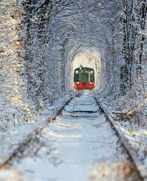 “Tunnel of Love” originally was used to conceal the transport of military hardware - Business ...