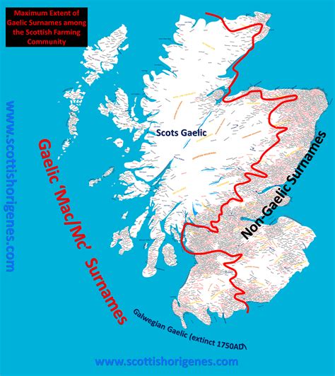 Scotland Map, Scotland History, Genealogy Ireland, Scottish Words, Family Tree Research, Family ...